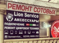 Центр ремонта цифровой техники Lion Service Фото 6 на сайте Tsaricino.ru