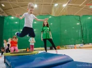 Детская спортивная школа по художественной гимнастике и спортивной акробатике FD на Пролетарском проспекте Фото 2 на сайте Tsaricino.ru