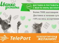 Автоматизированный пункт выдачи TelePort Фото 7 на сайте Tsaricino.ru
