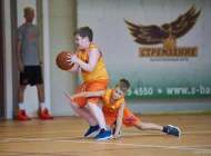 Баскетбольный клуб Стремление Фото 6 на сайте Tsaricino.ru