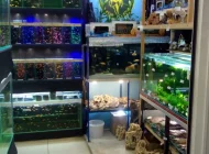 Магазин аквариумных рыбок Рыбка Дома Фото 3 на сайте Tsaricino.ru