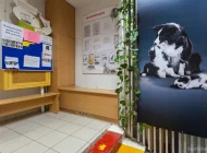 Ветеринарная клиника Вита Фото 7 на сайте Tsaricino.ru