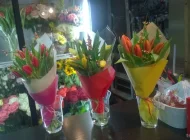 Цветы на Луганской Фото 2 на сайте Tsaricino.ru