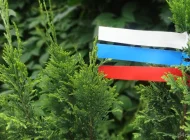 Компания Стик-принт  на сайте Tsaricino.ru