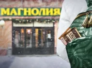 Удобный магазин Магнолия на Луганской улице Фото 4 на сайте Tsaricino.ru